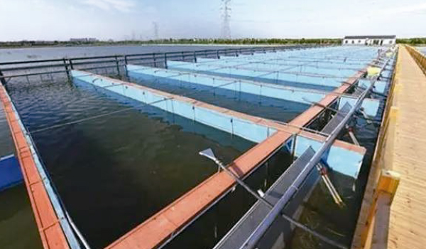工业生态化循环水水产养殖系统